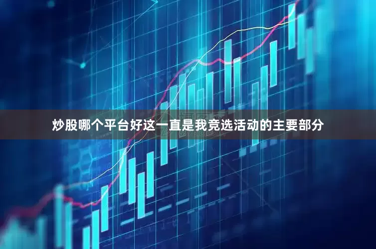 炒股哪个平台好这一直是我竞选活动的主要部分